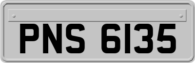 PNS6135