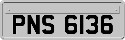PNS6136
