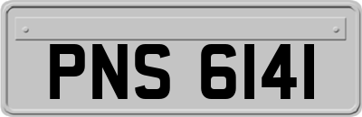 PNS6141