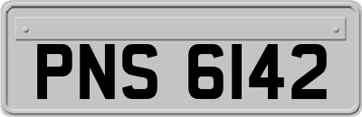 PNS6142