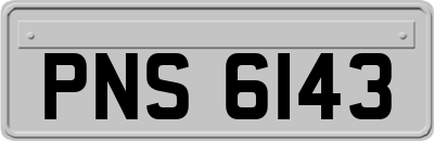 PNS6143