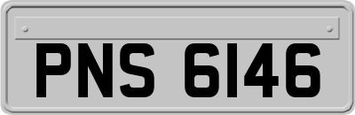 PNS6146
