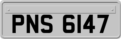 PNS6147