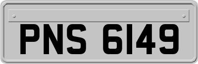PNS6149