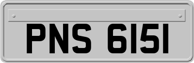 PNS6151