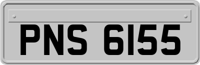 PNS6155