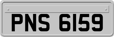 PNS6159