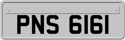 PNS6161