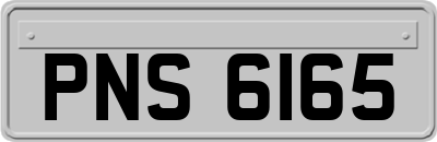 PNS6165