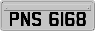 PNS6168