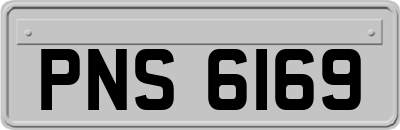 PNS6169