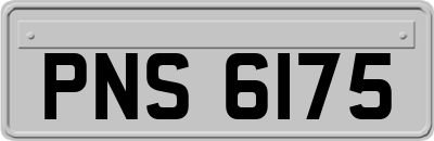 PNS6175