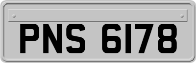 PNS6178