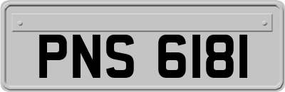PNS6181