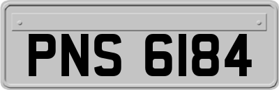 PNS6184