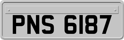 PNS6187