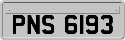 PNS6193
