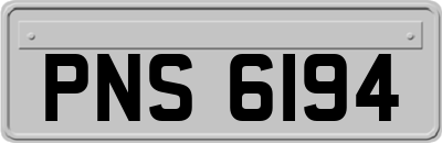 PNS6194