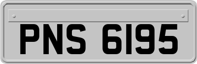 PNS6195