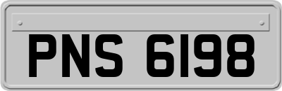 PNS6198