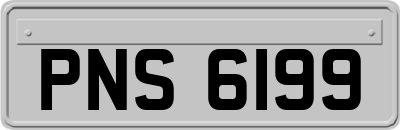 PNS6199