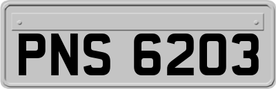 PNS6203