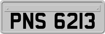 PNS6213