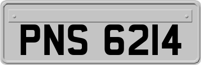 PNS6214
