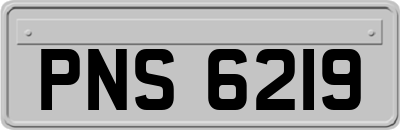 PNS6219