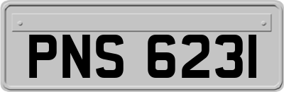 PNS6231