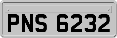 PNS6232