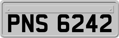 PNS6242