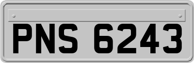 PNS6243