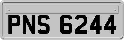 PNS6244