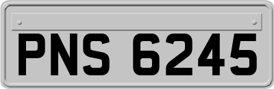 PNS6245