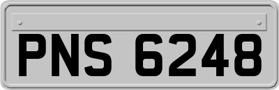 PNS6248