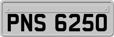 PNS6250
