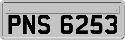 PNS6253