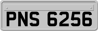 PNS6256