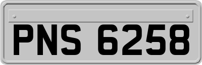PNS6258