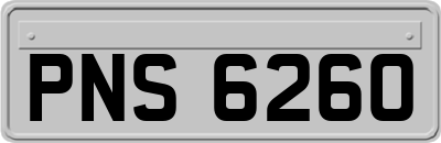 PNS6260
