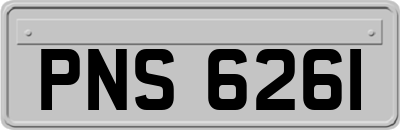 PNS6261