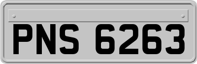 PNS6263
