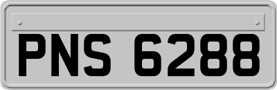 PNS6288