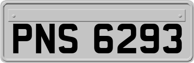 PNS6293