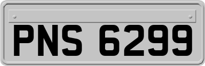 PNS6299