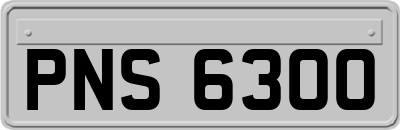 PNS6300