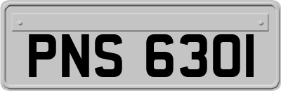 PNS6301