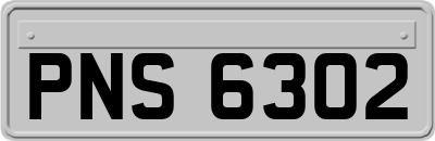PNS6302