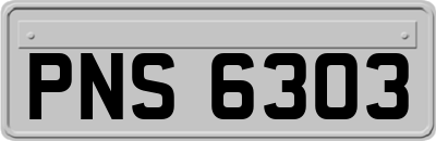 PNS6303